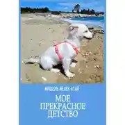Постер книги Мое прекрасное детство