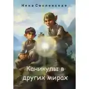 Постер книги Каникулы в других мирах