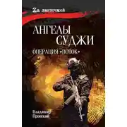 Постер книги Ангелы Суджи