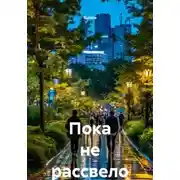 Постер книги Пока не рассвело