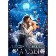 Постер книги В гостях у (с)нежного чародея