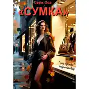 Постер книги Сумка