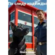 Постер книги По следу надежды