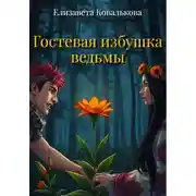 Постер книги Гостевая избушка ведьмы