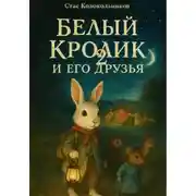 Постер книги Белый Кролик и его друзья – 2