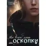 Постер книги Мы всего лишь осколки