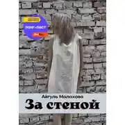 Постер книги За стеной
