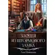 Постер книги Злодей из Штормового замка