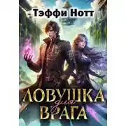 Постер книги Ловушка для врага