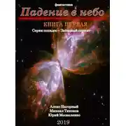 Постер книги Падение в небо