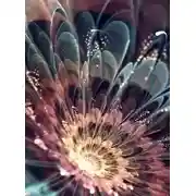 Постер книги Дело о демонах высших сфер