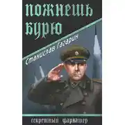 Постер книги Пожнешь бурю
