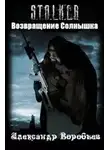 Александр Воробьёв - Возвращение Солнышка