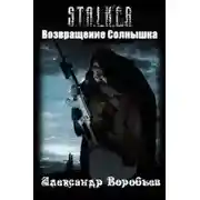 Постер книги Возвращение Солнышка