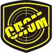 Постер книги С.Л.О.М.