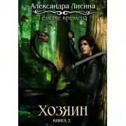 Постер книги Темные времена. Хозяин