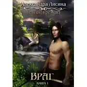 Постер книги Темные времена. Враг
