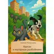 Постер книги Ураган и мусорные разбойники