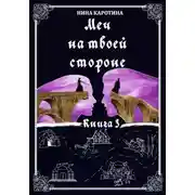 Постер книги Меч на твоей стороне