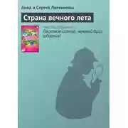 Постер книги Страна вечного лета