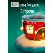 Постер книги Встреча. Рассказ