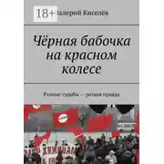 Постер книги Чёрная бабочка на красном колесе. Разные судьбы – разная правда