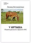 Леонид Беспамятных - У Иртыша. Сборник рассказов в формате DOC