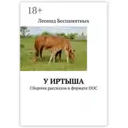 Постер книги У Иртыша. Сборник рассказов в формате DOC