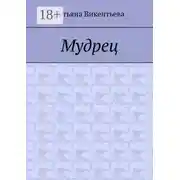 Постер книги Мудрец. Поэма