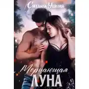 Постер книги Мерцающая луна
