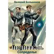 Постер книги Целитель. Сопределье