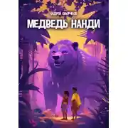Постер книги Медведь Нанди