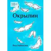 Постер книги Окрылин