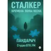 Постер книги Сталкер. Времена зоны. Весна