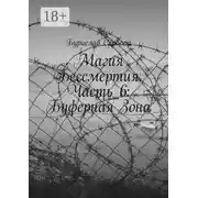Постер книги Магия Бессмертия. Часть 6: Буферная Зона