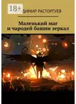 Владимир Расторгуев - Маленький маг и чародей башни зеркал