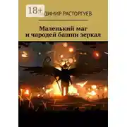 Постер книги Маленький маг и чародей башни зеркал