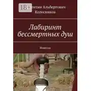 Постер книги Лабиринт бессмертных душ. Новелла