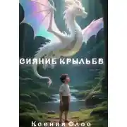 Постер книги Сияние крыльев