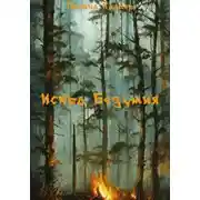 Постер книги Искра Безумия