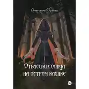 Постер книги Отблески солнца на остром клинке