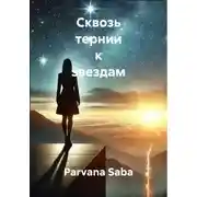 Постер книги Сквозь тернии к звездам