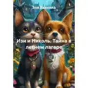Постер книги Изи и Николь. Тайна в летнем лагере