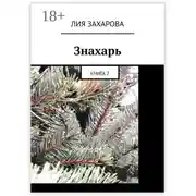 Постер книги Знахарь. Книга 2