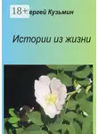 Сергей Кузьмин - Истории из жизни
