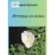 Постер книги Истории из жизни