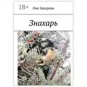Постер книги Знахарь