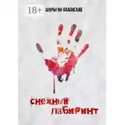 Постер книги Снежный лабиринт