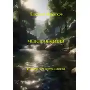 Постер книги Мелодия жизни. Книга четырнадцатая