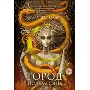 Постер книги Дом Пламени и Тени